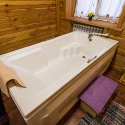 Фото Отель Золото Алтая