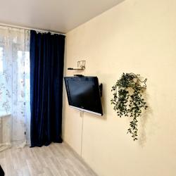 Фото Апартаменты в посёлке Новый Городок 4