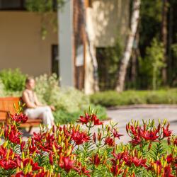 Фото Бутик-отель Родники