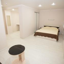 Номер стандарт бизнес с 1 двуспальной кроватью