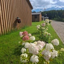 Коттедж для двоих в лесу №4