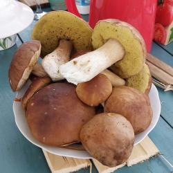 Фото Отель Горе-Море