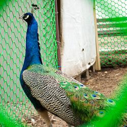 Фото Рыбачка мотель