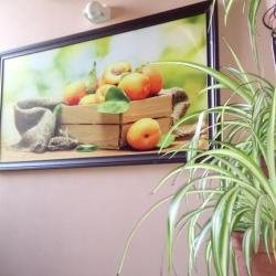 4-местный номер улучшенный семейный