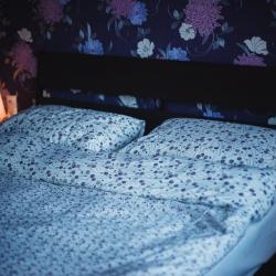 Фото Отель Karelia Hostel (Карелия)