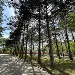 Фото Отель Ателика Тешебс