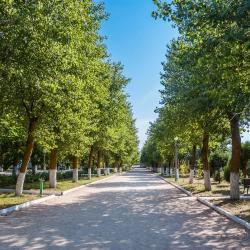 Фото Отель Volna Family Resort (Волна Фэмили Резорт)