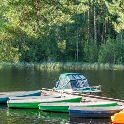 Дом у воды Ежевика и Черника (36 кв.м)