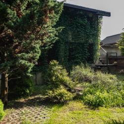 Фото Отель Гостевой дом Тере