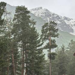 Фото Отель Вольфрам