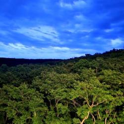 2-комнатные апартаменты улучшенные