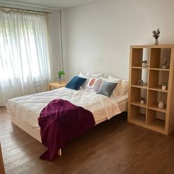 фото 3 Tolstoy Apart (Толстой Апарт) на улице Островитянова