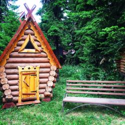 Фото Отель Русь