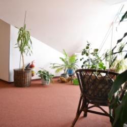 Фото Отель Лотос