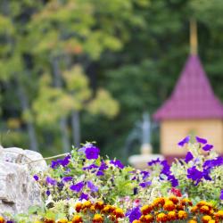 Фото Парк-отель ий