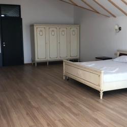 Номер полулюкс с видом на сосновый бор (желтый корпус)