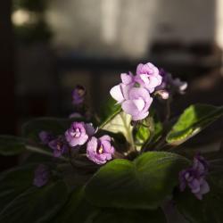 Фото Отель AmKam (АмКам)