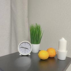 Фото Апартаменты в садоводческом товариществе Лысая Гора 249А