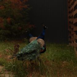 Фото Отель Варилка