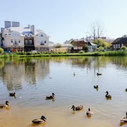 Фото Отель посуточно на проспекте Мира