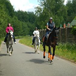 Фото Парк-Отель Басовское