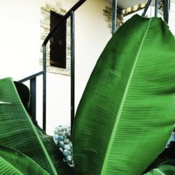 Фото Отель Шато Жюли