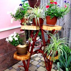 Фото Отель Гостевой дом НАТАЛИсити