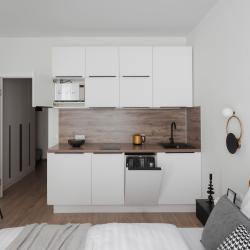 Апартаменты студия RoomyRoom Premier