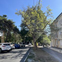 1-комнатные апартаменты улучшенные