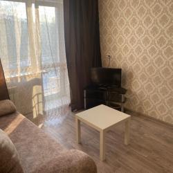 Фото Апартаменты на проспекте Ленина 75