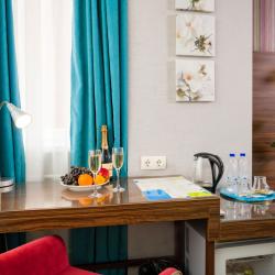 Номер полулюкс с 1 двуспальной кроватью