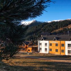 Фото Отель Баринъ