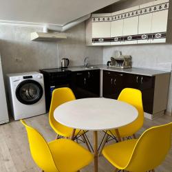 1-комнатные апартаменты стандарт (мансарда)