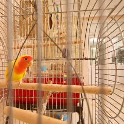 Фото De'Lore Park Hotel Domodedovo (Делор Парк Отель Домодедово)