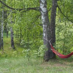 Фото Отель Катрина