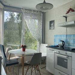 Фото Апартаменты InRoomSPb на улице Ивана Фомина 3