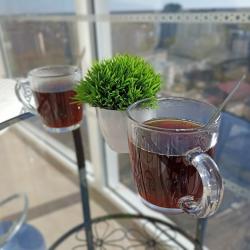 Апартаменты люкс