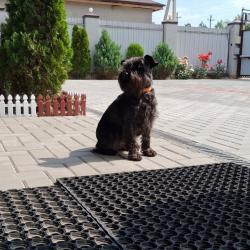 Фото Отель Бумеранг