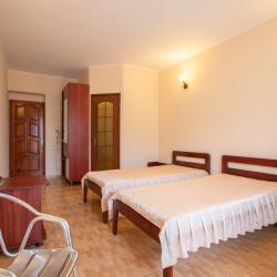 2-местный 1-комнатный номер стандарт комфорт с 2 односпальными кроватями