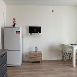 Фото Апартаменты на улице Рябиновая