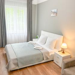 1-комнатные апартаменты стандарт Balt-Apartments Pionerskii 19