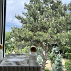 Фото Отель Mountains (Маунтинс)