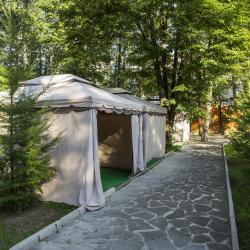 Фото Отель Сосновый бор