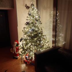 Фото Отель Лесная