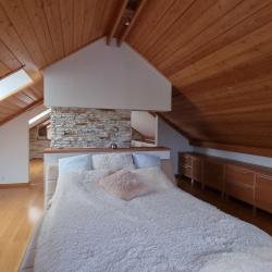 Апартаменты люкс (мансарда)