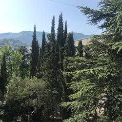 Номер стандарт с видом на парк