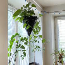 Фото Отель Glamour Apartment