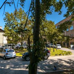 Фото Отель Top house на улице Авраменко