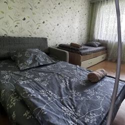 Фото Апартаменты на улице Дружбы 7