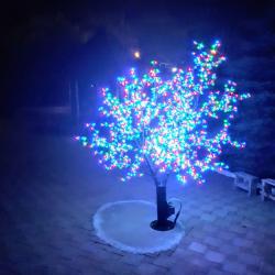 Фото Отель Парадиз